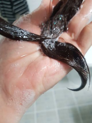 버텍스넘버원 버텍스 넘버원 햄프씨드오일 샴푸 — 5점을 준 리뷰어가 2022년 4월 올린 사용 사진