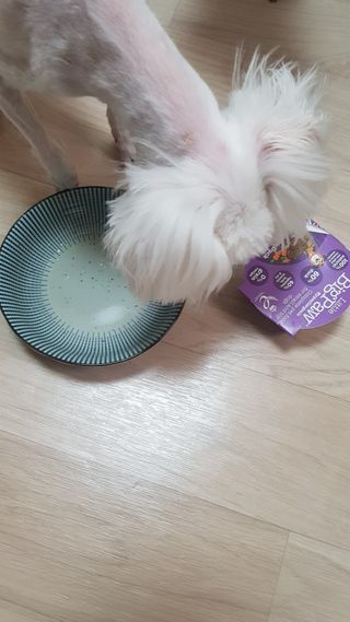 chloe님이 올린 리뷰 사진 2