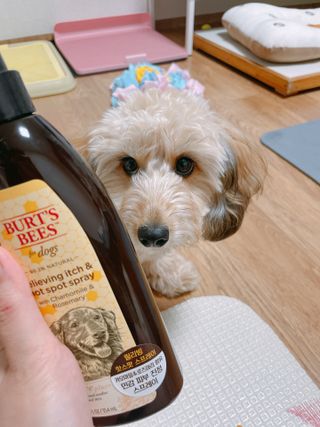 연쨩님이 올린 리뷰 사진 2