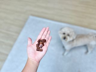 테티스님이 올린 리뷰 사진 1