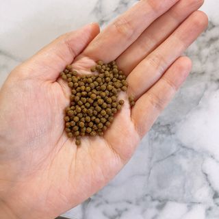 코라리님이 올린 리뷰 사진 3
