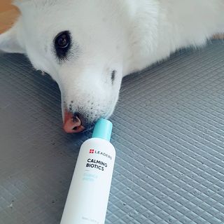 리더스코스메틱 리더스 카밍 바이오틱스 에센스 워터 — 5점을 준 리뷰어가 2021년 3월 올린 사용 사진