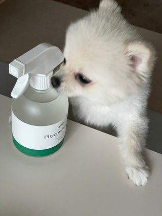 핸감자님이 올린 리뷰 사진 1