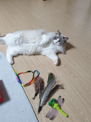 로크찡님이 올린 리뷰 사진 2