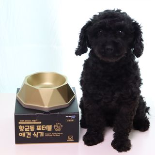 [세싹보울] 세균 싹~ 사라지는 셀앤핏 펫 항균동 애견식기 — 5점을 준 리뷰어가 2021년 6월 올린 사용 사진
