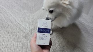 펫21 그로그로 5종 강아지 고양이 반려동물 한방 영양제 — 5점을 준 리뷰어가 2021년 11월 올린 사용 사진