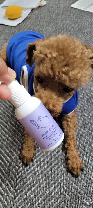 란다김님이 올린 리뷰 사진 4