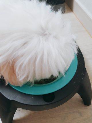 미진냥님이 올린 리뷰 사진 4