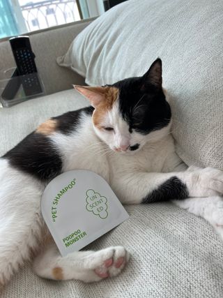 숑굥님이 올린 리뷰 사진 3