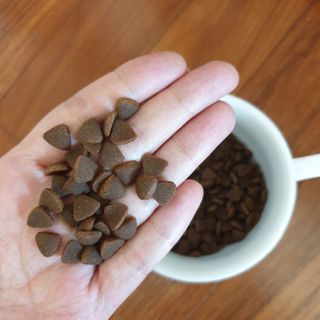 [푸디웜] 라포그  리얼인섹트 웨이트밸런스 저알러지 강아지 사료  1.2KG — 5점을 준 리뷰어가 2021년 7월 올린 사용 사진