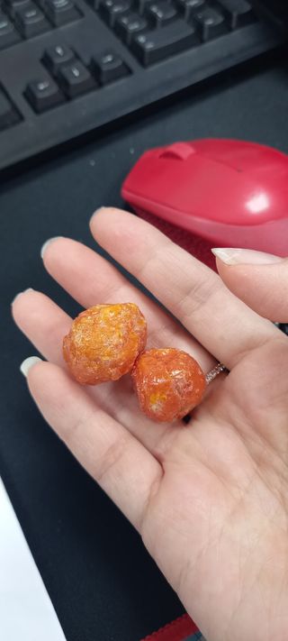 레드닥터 완숙토마토 + 통째로 동결건조한 대추방울토마토 — 5점을 준 리뷰어가 2022년 12월 올린 사용 사진
