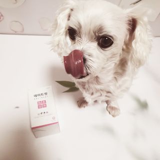 여늬님이 올린 리뷰 사진 4