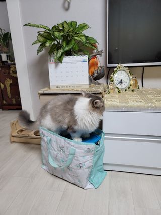 8년째캠핑중님이 올린 리뷰 사진 4