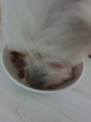 쮸동비님이 올린 리뷰 사진 3