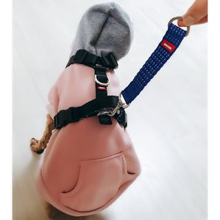 베이컨박스 [BACON] 고아웃클럽 산책 안전벨트 라이트 - 소형견용 — 5점을 준 리뷰어가 2021년 12월 올린 사용 사진