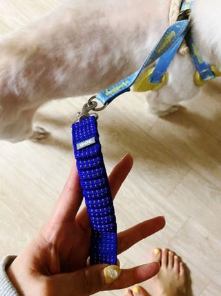 정민트님이 올린 리뷰 사진 3