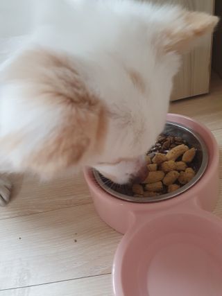 킹유쥬님이 올린 리뷰 사진 3
