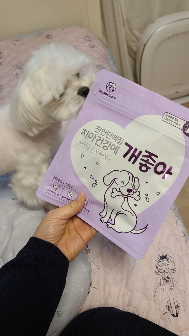 천연단백질 치아건강에 개좋아 리뷰 사진