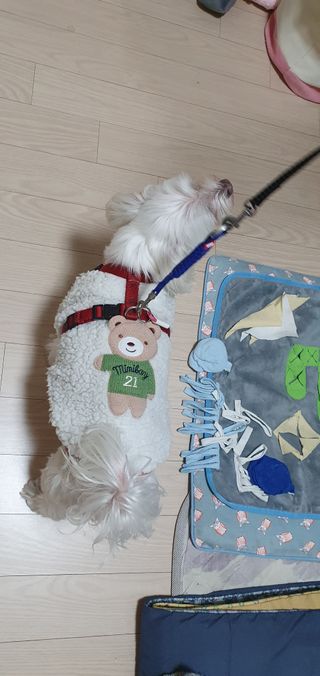 karen님이 올린 리뷰 사진 3