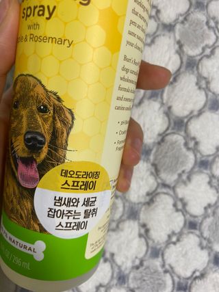 빅참새님이 올린 리뷰 사진 3