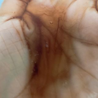 프로밍님이 올린 리뷰 사진 3