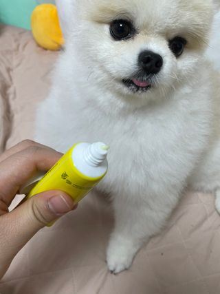 이제트님이 올린 리뷰 사진 3