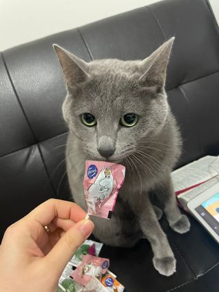 여온님이 올린 리뷰 사진 4