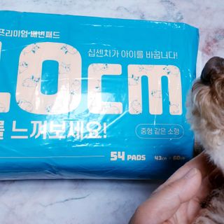 아베크 펫 와이드 프리미엄 중형 애견 강아지 배변 패드 54매 1팩 45g — 5점을 준 리뷰어가 2021년 7월 올린 사용 사진