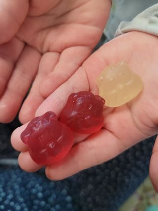 람보슈터님이 올린 리뷰 사진 2