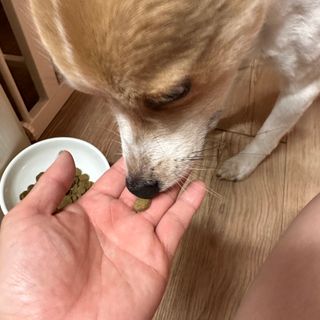 민트펌킨님이 올린 리뷰 사진 4