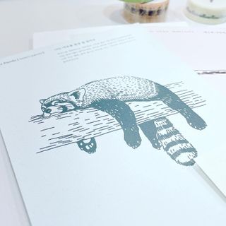 콜린스 2021 엽서 캘린더와 마스킹 테이프 3종 — 5점을 준 리뷰어가 2020년 12월 올린 사용 사진