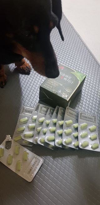 클린24시간 지중해로 쏙빠지다 1SET (800mg*60정) — 5점을 준 리뷰어가 2023년 4월 올린 사용 사진