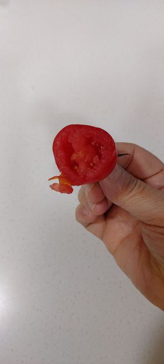 레드닥터 대추방울토마토 + 본생강 망고맛 스틱형 젤리 — 4점을 준 리뷰어가 2022년 12월 올린 사용 사진