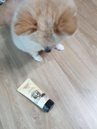 버츠비 케어플러스 릴리빙포앤노즈로션 — 4점을 준 리뷰어가 2021년 4월 올린 사용 사진