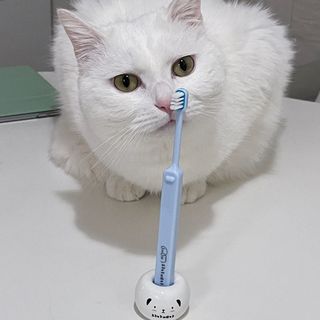 ㄹ진님이 올린 리뷰 사진 2