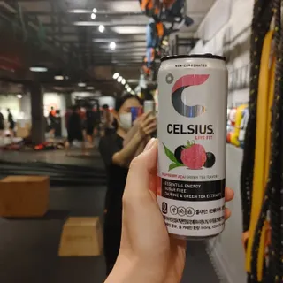 셀시어스 오리지널 325ml 에너지 비타민 피트니스 드링크(24can) 다이어트 음료 — 5점을 준 리뷰어가 2022년 5월 올린 사용 사진