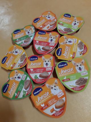 비타크래프트 조에시 하트캔 85g 강아지 습식캔 10캔 — 5점을 준 리뷰어가 2021년 7월 올린 사용 사진