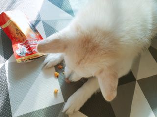 딸랑구둘🥰님이 올린 리뷰 사진 3
