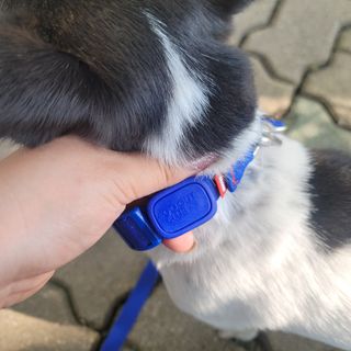 노이님이 올린 리뷰 사진 3