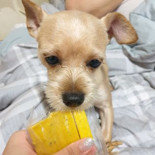 세지니힛님이 올린 리뷰 사진 3