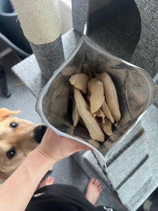 [펫시밀] 원물그대로 영양듬뿍 진공동결건조 치킨텐더100g, 열빙어트릿100g 강아지 고양이 간식 — 5점을 준 리뷰어가 2023년 5월 올린 사용 사진