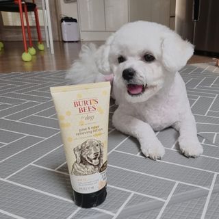 버츠비 케어플러스 릴리빙포앤노즈로션 — 5점을 준 리뷰어가 2021년 4월 올린 사용 사진