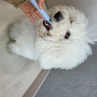 나리니님이 올린 리뷰 사진 3