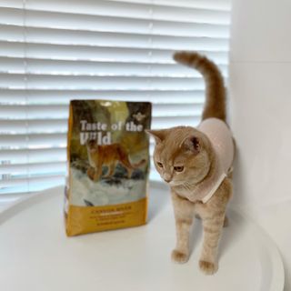 루하님이 올린 리뷰 사진 2