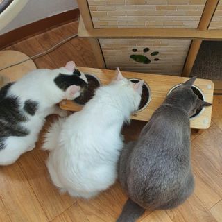 chk822님이 올린 리뷰 사진 3