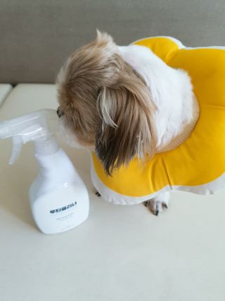민우다빈이맘님이 올린 리뷰 사진 3