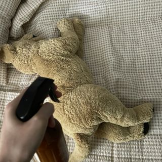 우디스피어 스피어스프레이 — 5점을 준 리뷰어가 2022년 4월 올린 사용 사진