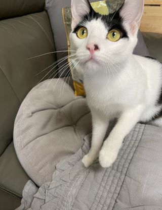 초딩짱구님이 올린 리뷰 사진 3