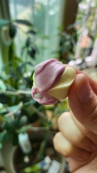 의연님이 올린 리뷰 사진 4