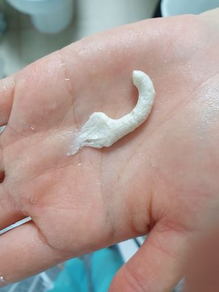 오동글님이 올린 리뷰 사진 2